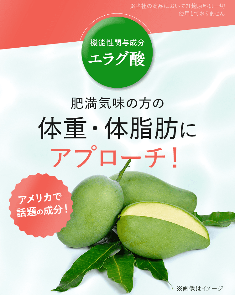 機能性関与成分 エラグ酸